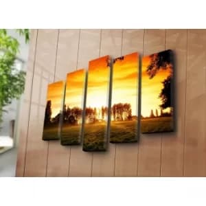 5PATK-181 Multicolor Decorative Canvas Painting (5 Pieces)