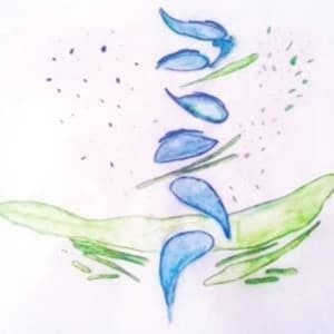 Fis - Iterations Vinyl