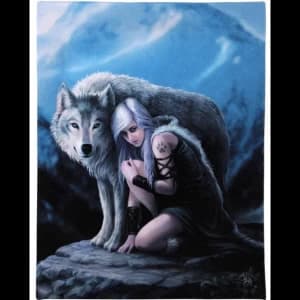 Small Protector Canvas Picture by Anne Stokes