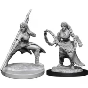 D&D Nolzur's Marvelous Unpainted Miniatures (W14) Human Monk Female
