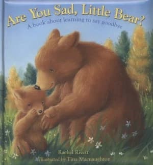 Are You Sad Little Bear by Rachel Rivett Hardback
