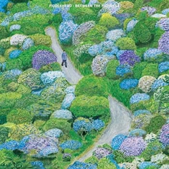 Fiddlehead - Between The Richness CD