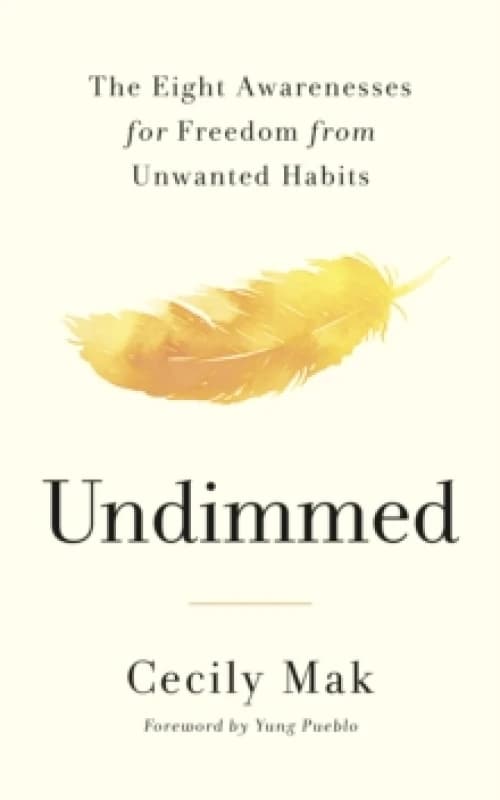 Undimmed : The Eight Awarenesses for Freedom from Unwanted Habits Paperback / softback