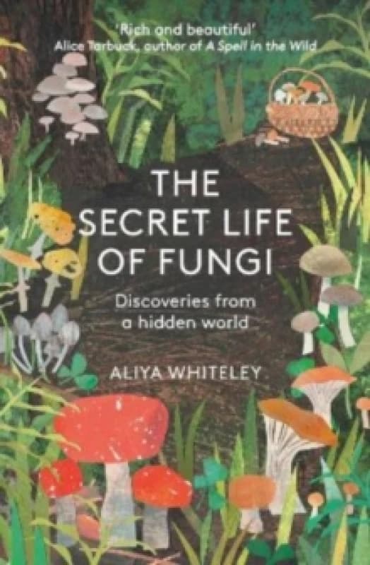 The Secret Life of Fungi : Discoveries From a Hidden World Paperback / softback