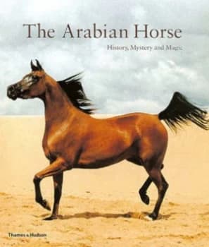The Arabian Horse by Hossein Amirsadeghi Paperback
