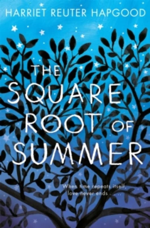The Square Root of Summer Paperback / softback