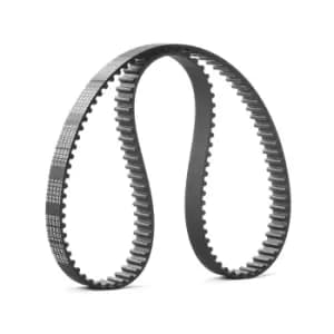 RIDEX Timing Belt TOYOTA 306T0079 1356811080,1356811081,1356819105 Cam Belt,Toothed Belt 1356819106