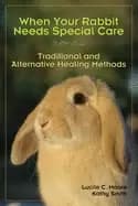 when your rabbit needs special care traditional and alternative healing met