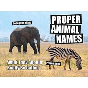 Proper Animal Names What They Should Really Be Called Hardback 2018