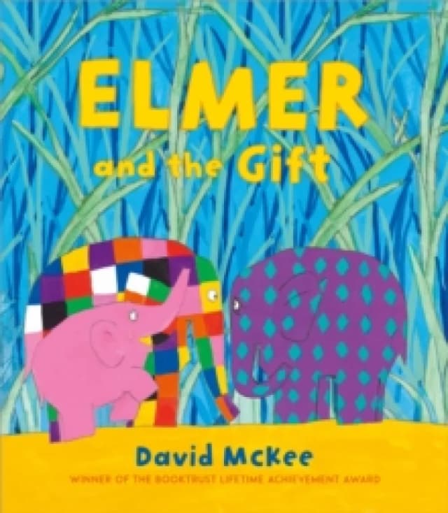Elmer and the Gift Paperback / softback