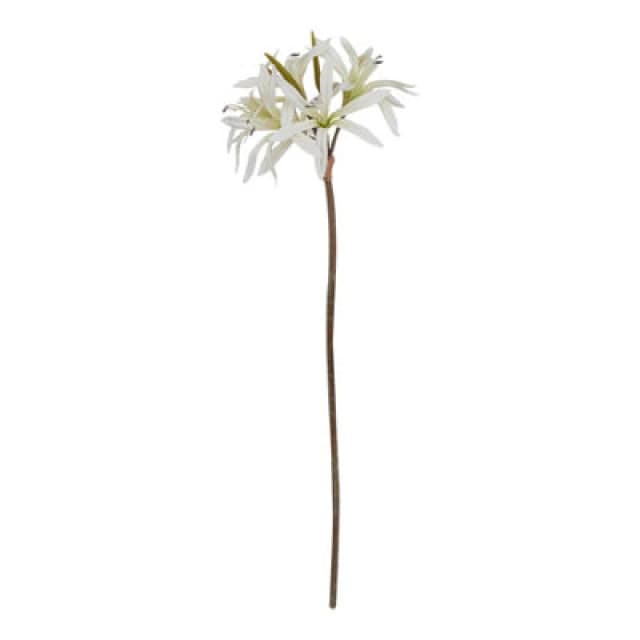Hill Interiors The Natural Garden Collection Nerine Lily Artificial Flower White (One Size)