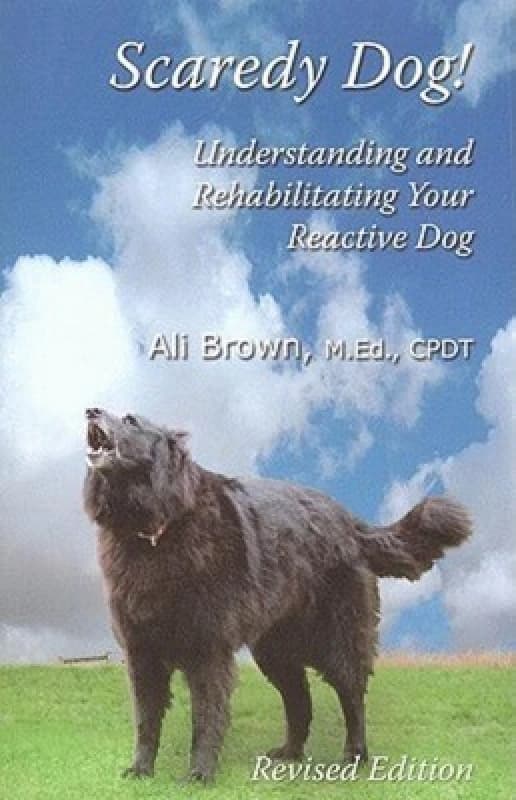 Scaredy Dog by Brownt Paperback