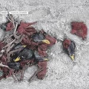 Dadub - A Sun Called Moon Vinyl