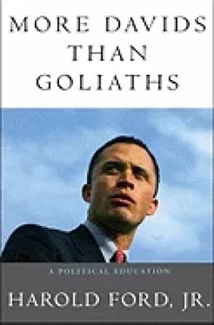 more davids than goliaths a political education