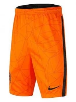 Nike Youth Holland Home 2020 Short Sleeved Stadium Shirt, Orange, Size M (10-11 Years)