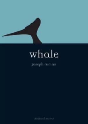 Whale by Joe Roman