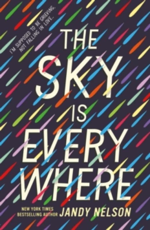 The Sky Is Everywhere Paperback / softback