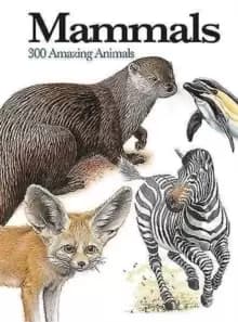Mammals : 300 Amazing Animals