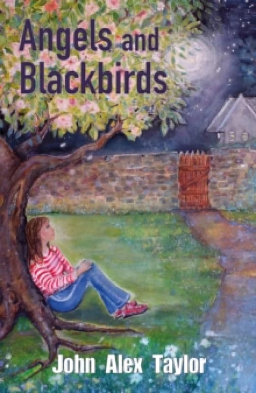 Angels and Blackbirds Paperback / softback