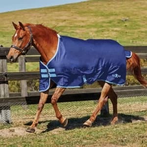 Saxon 600D Standard Neck Lite Turnout - Navy/Light Blue