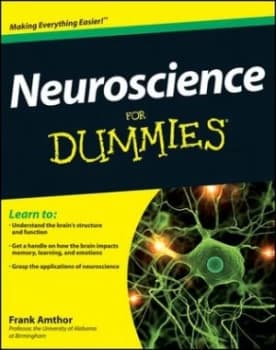 Neuroscience for Dummies by Frank Amthor Paperback