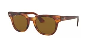 Ray-Ban Square Striped Havana Sunglasses, Havanna/Brown, Women