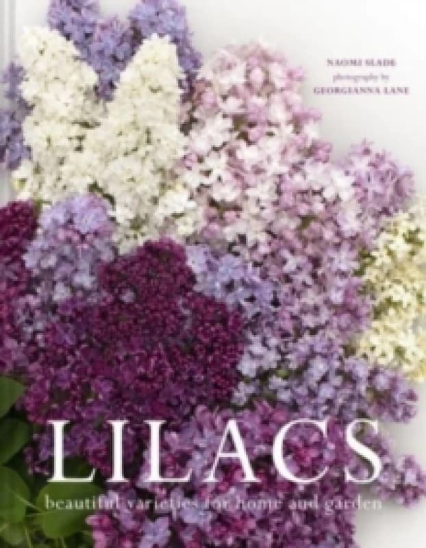 Lilacs : Beautiful varieties for home and garden Hardback