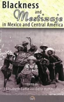 Blackness and Mestizaje in Mexico and Central America by Elisabeth Cunin Book