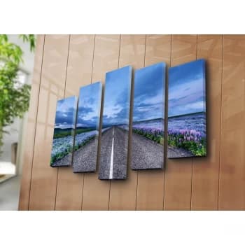 5PATK-170 Multicolor Decorative Canvas Painting (5 Pieces)