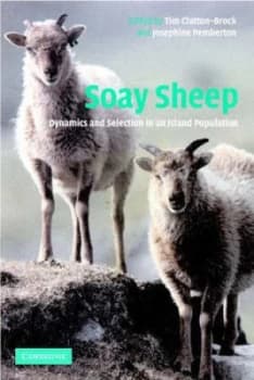 Soay Sheep by T. H. Clutton-Brock Hardback