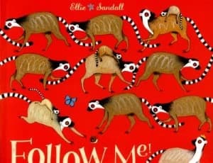 Follow Me by Ellie Sandall Book
