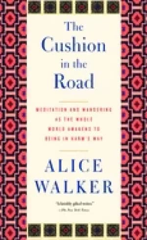 cushion in the road the meditation and wandering as the whole world awakens