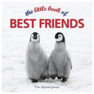 The Little Book of Best Friends by Tim Glynne-Jones Hardback