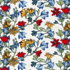 The Shuttle by Frances Hodgson Burnett Paperback