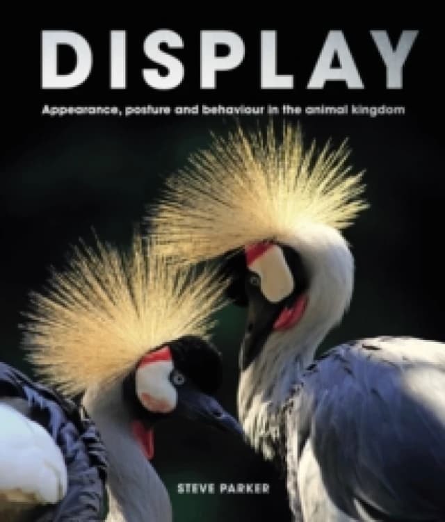 Display : Appearance, posture and behaviour in the animal kingdom Hardback