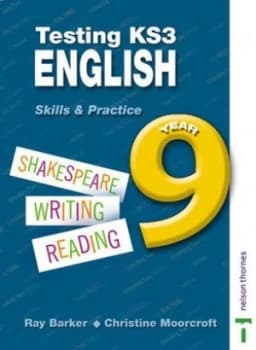 Testing Ks3 English Year 9 by Christine Moorcroft Paperback