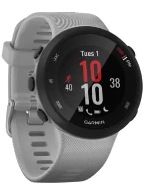 Garmin Forerunner 45 Plus Smartwatch
