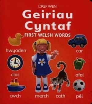 Geiriau Cyntaf by Jo Litchfield Hardback