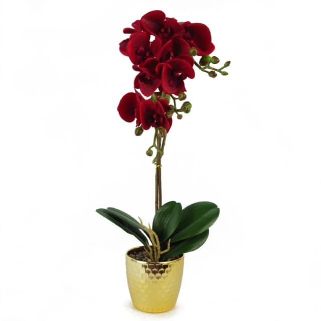 Leaf 50cm Phalaenopsis Orchid Artificial - Dark Red - Gold Pot Red unisex