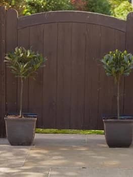 Pair 11 Square Gold Tulipa Style Planters