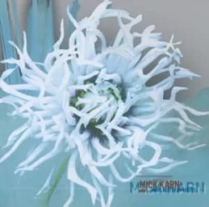 More Better Different by Mick Karn CD Album