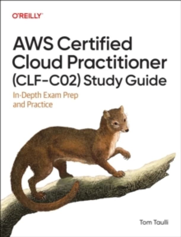 AWS Certified Cloud Practitioner (Clf-C02) Study Guide : In-Depth Exam Prep and Practice Paperback / softback