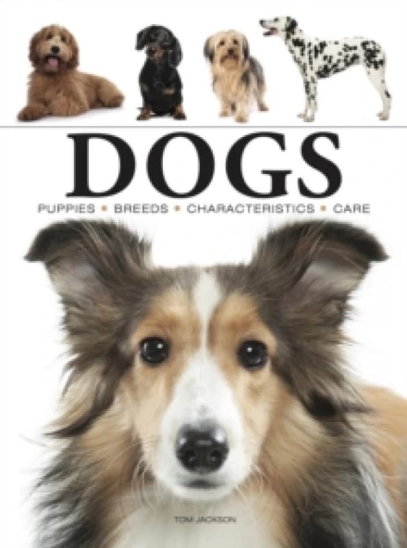 Dogs Paperback / softback
