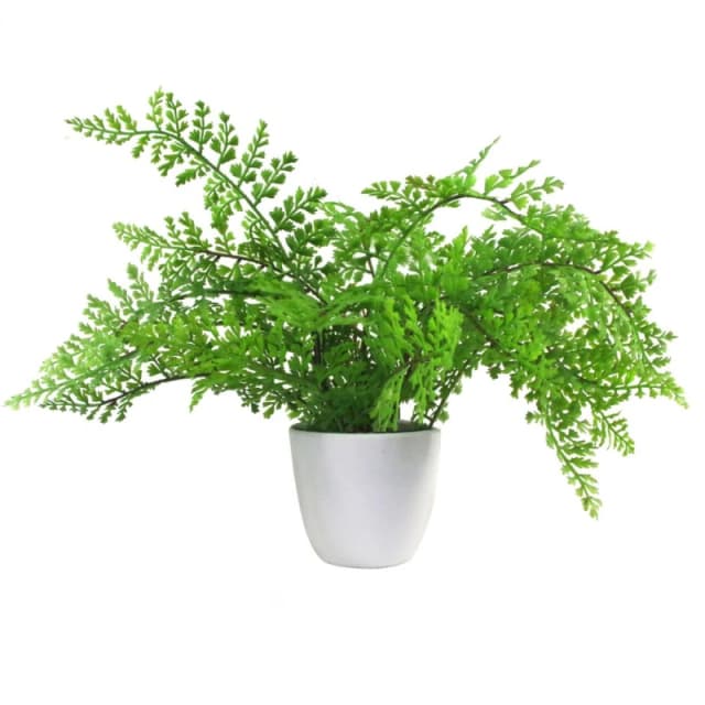 Leaf Artificial Fern Plant Pot Royal Fern 30cm Leaf Design UK Realistic Plants Botanik Green