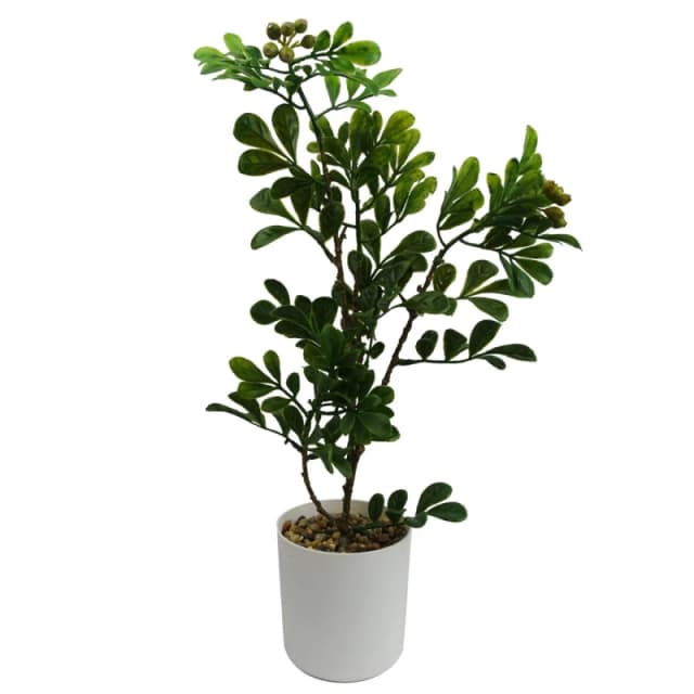 N/A 45cm Artificial Aglaia Odorata Bonsai Ficus Tree