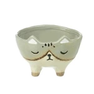 Ceramic Cat Pot