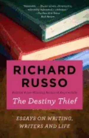 destiny thief essays on writing writers and life