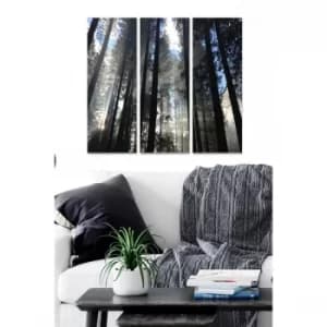 MDF839805 Multicolor Decorative MDF Painting (3 Pieces)