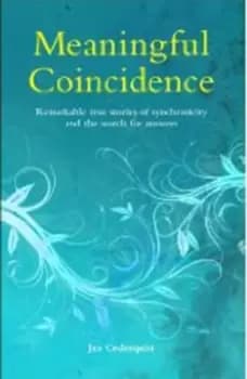 Meaningful coincidence - Jan Cederquist - Paperback - Used