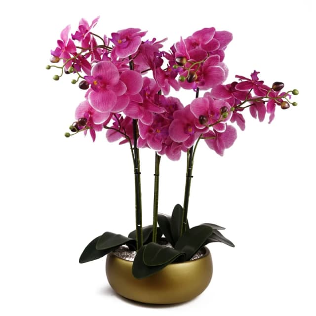 Leaf 60cm Orchid Purple - Gold Ceramic Planter Green